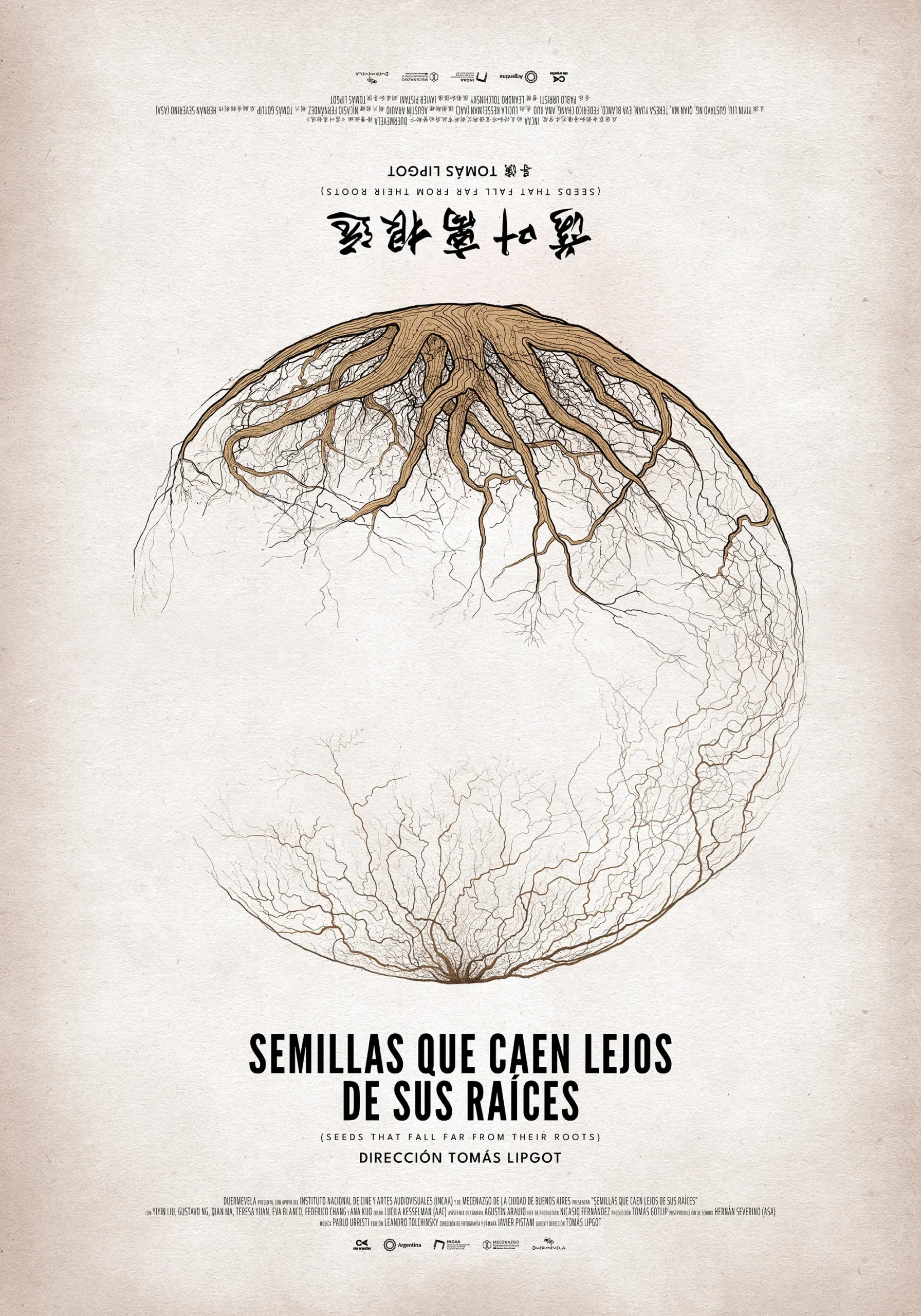 Semillas que caen lejos de sus raíces