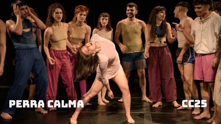 PERRA CALMA 720 x 405
