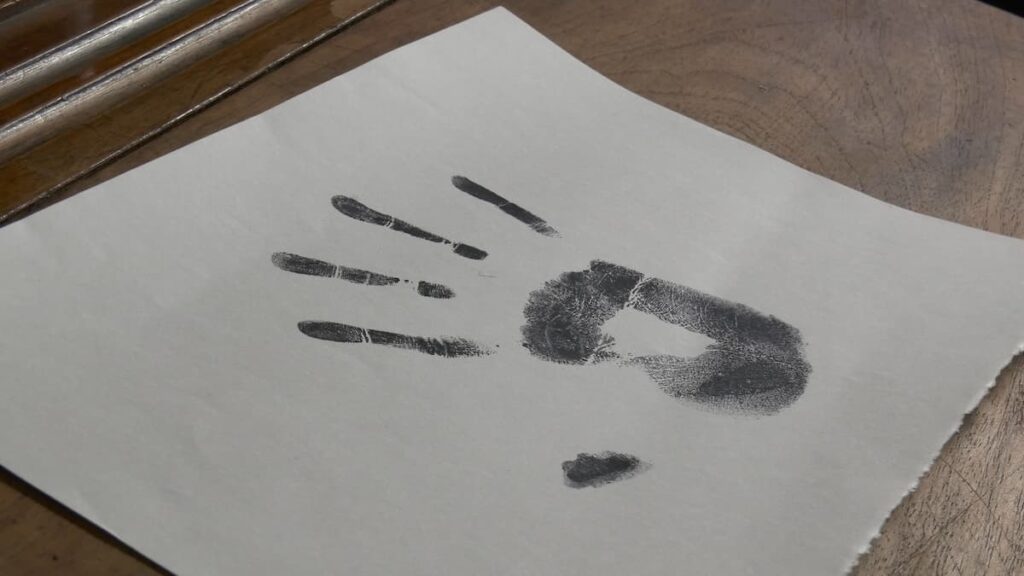 Revelar es un documental sobre los indicios y presentimientos que tuvieron las nietas y los nietos recuperados antes de conocer su verdadera identidad.