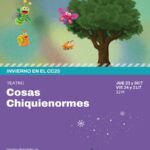 Flyer Cosas Chiquienormes1